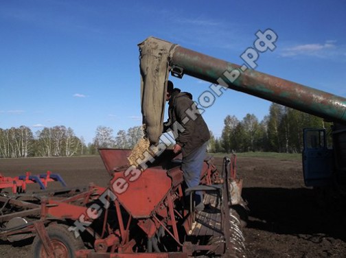 ЗИЛ-130. Заправка зерном сеялки СЗП-3,6А. Посевная кампания 2013