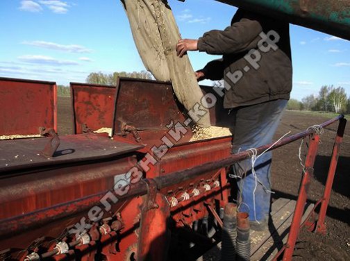 ЗИЛ-130. Заправка зерном сеялки СЗП-3,6А. Посевная кампания 2013