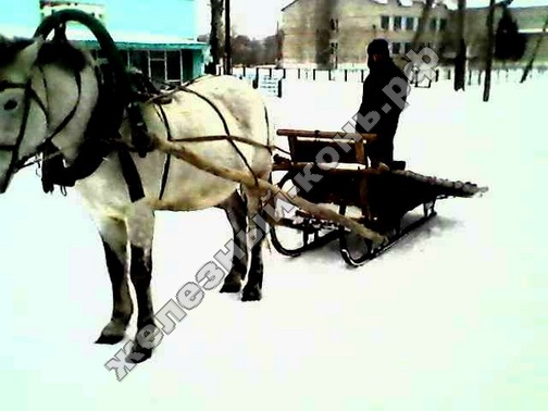 лошадь запряжённая в сани