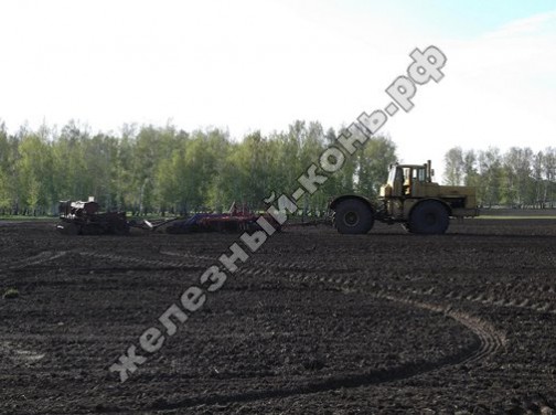 Посевная кампания 2013 на Алтае. Трактор К-701 с сеялкой СЗП-3,6А фото