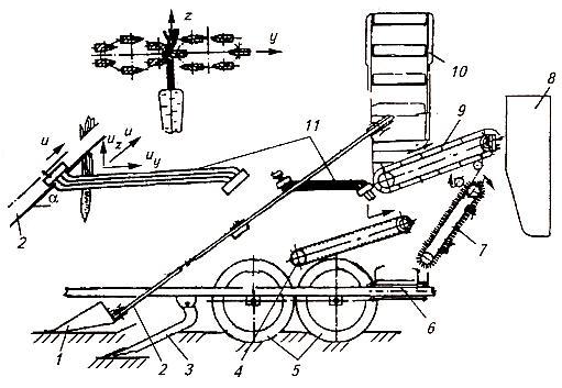 Машина ММТ-1 теребильного типа для уборки столовых корнеплодов. Схема рабочего процесса